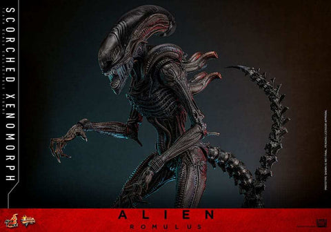 Alien: Romulus Movie Masterpiece Actionfigur 1/6 Scorched Xenomorph 44 cm HOT TOYS