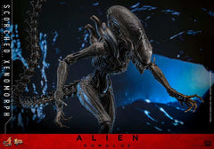 Alien: Romulus Movie Masterpiece Actionfigur 1/6 Scorched Xenomorph 44 cm HOT TOYS