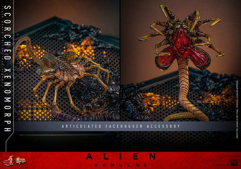 Alien: Romulus Movie Masterpiece Actionfigur 1/6 Scorched Xenomorph 44 cm HOT TOYS