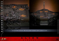 Alien: Romulus Movie Masterpiece Actionfigur 1/6 Scorched Xenomorph 44 cm HOT TOYS