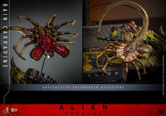 Alien Romulus Movie Masterpiece 1/6 Rain Carradine 26 cm HOT TOYS