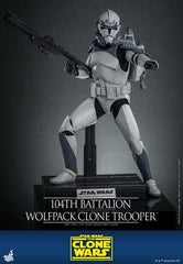 Star Wars The Clone Wars 1/6 104th Battalion Wolfpack Clone Trooper 30 cm HOT TOYS