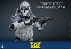 Star Wars The Clone Wars 1/6 104th Battalion Wolfpack Clone Trooper 30 cm HOT TOYS