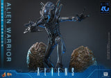 Alien Movie Masterpiece Actionfigur 1/6 Alien Warrior (Deluxe Version) 39 cm