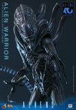 Alien Movie Masterpiece Actionfigur 1/6 Alien Warrior 39 cm