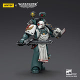 Warhammer 40,000: Sons of Horus Actionfigur Legion Apothecary 12 cm