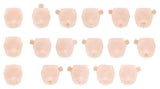 Megami Device M.S.G. Zubehör-Set für Plastic Model Kits 1/1 10 Face Set Puni Mofu 01 Skin Color C