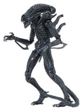 Aliens Ultimate Actionfigur Warrior (1986) Blue 23 cm