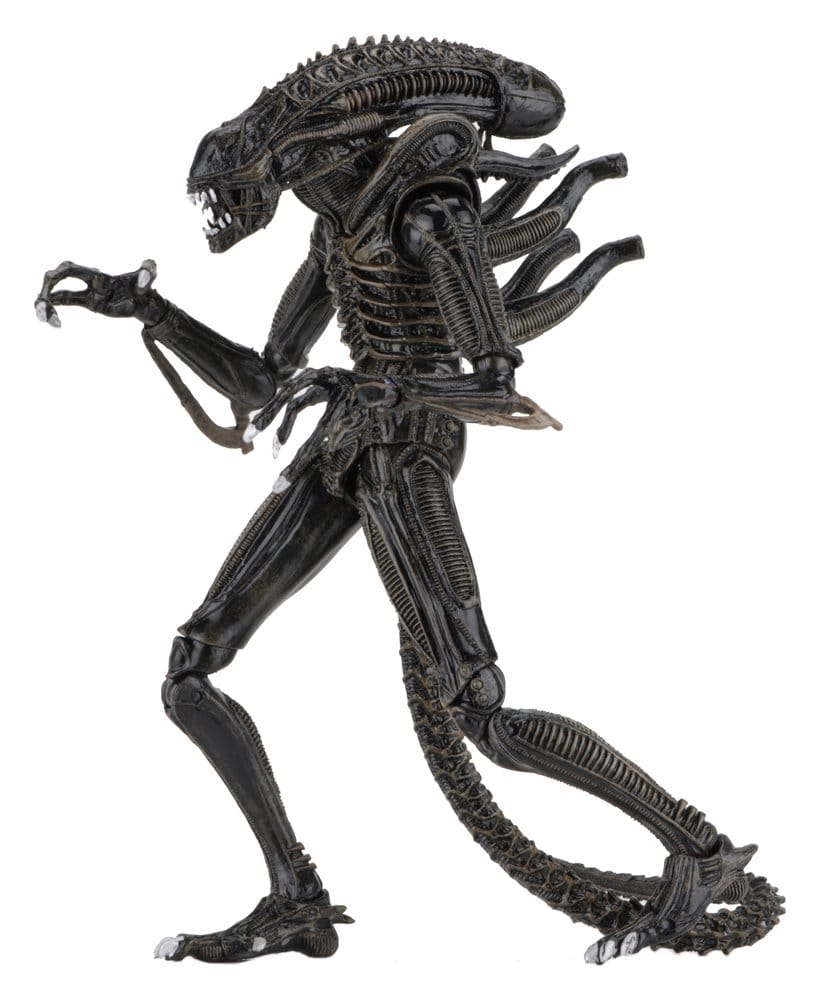 Aliens Ultimate Actionfigur Warrior (1986) Brown 23 cm