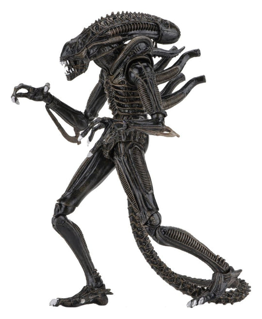 Aliens Ultimate Actionfigur Warrior (1986) Brown 23 cm