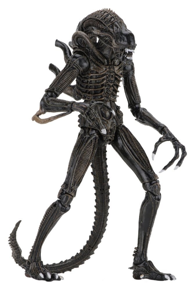 Aliens Ultimate Actionfigur Warrior (1986) Brown 23 cm
