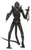 Aliens Ultimate Actionfigur Warrior (1986) Brown 23 cm