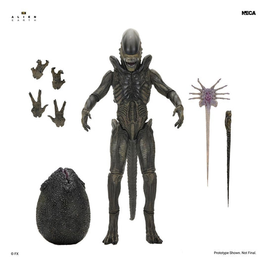 Alien: Earth Ultimate Actionfigur Xenomorph 18 cm