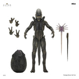 Alien: Earth Ultimate Actionfigur Xenomorph 18 cm