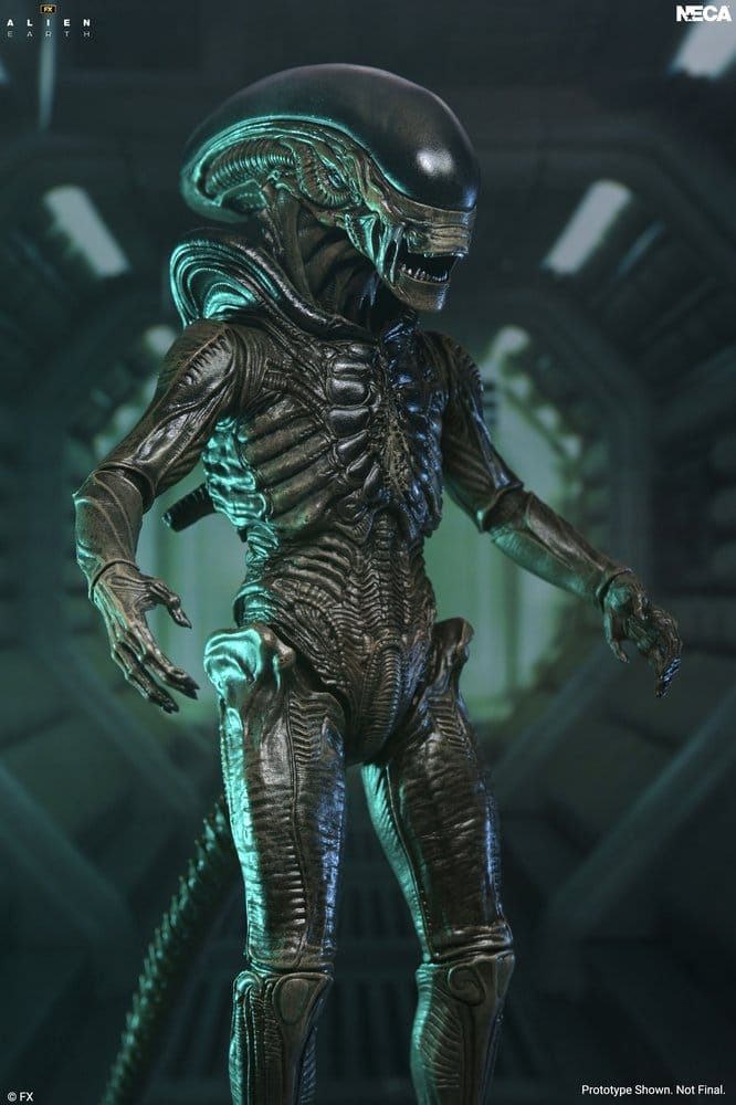 Alien: Earth Ultimate Actionfigur Xenomorph 18 cm