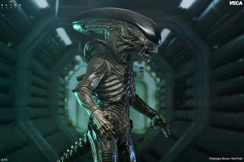 Alien: Earth Ultimate Actionfigur Xenomorph 18 cm