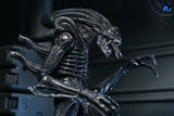 Aliens Ultimate Actionfigur Warrior (1986) Xenomorph Black (40th Anniversary) 23 cm