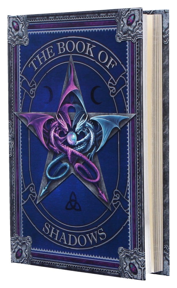 Anne Stokes Notizbuch The Book of Shadows A5 18 cm