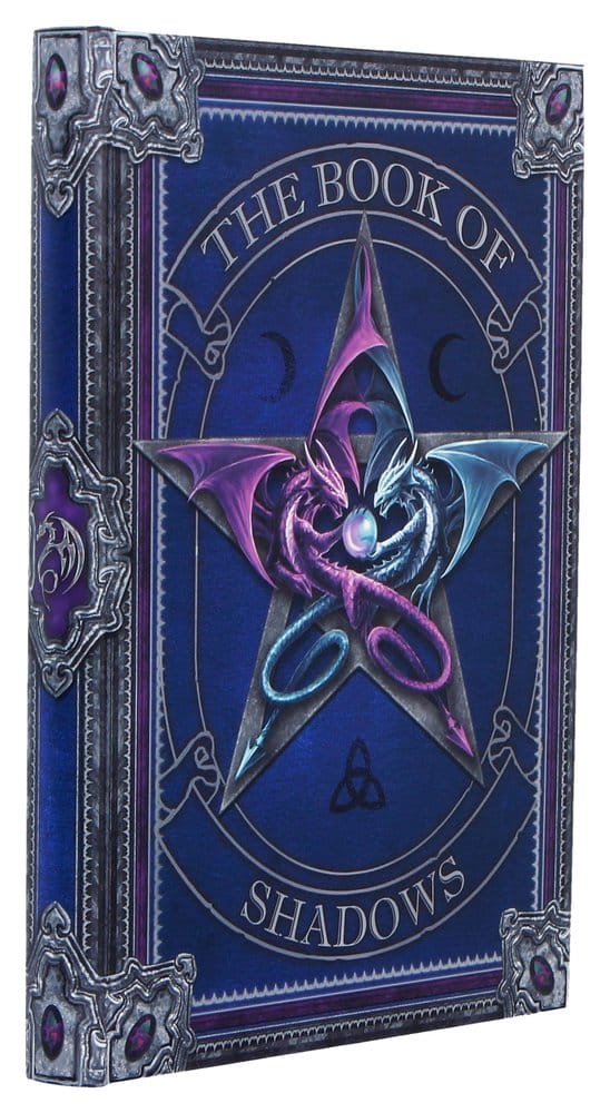 Anne Stokes Notizbuch The Book of Shadows A5 18 cm