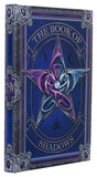 Anne Stokes Notizbuch The Book of Shadows A5 18 cm