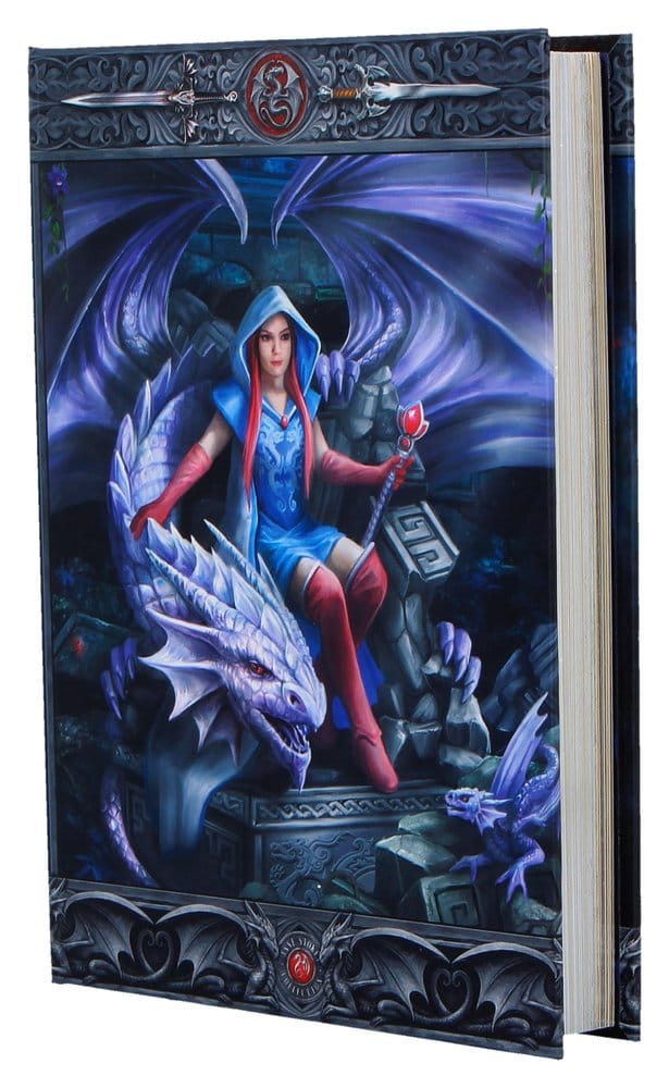 Anne Stokes Notizbuch Dragon Mage A5 18 cm