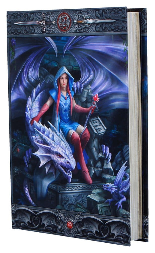 Anne Stokes Notizbuch Dragon Mage A5 18 cm