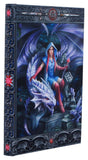 Anne Stokes Notizbuch Dragon Mage A5 18 cm