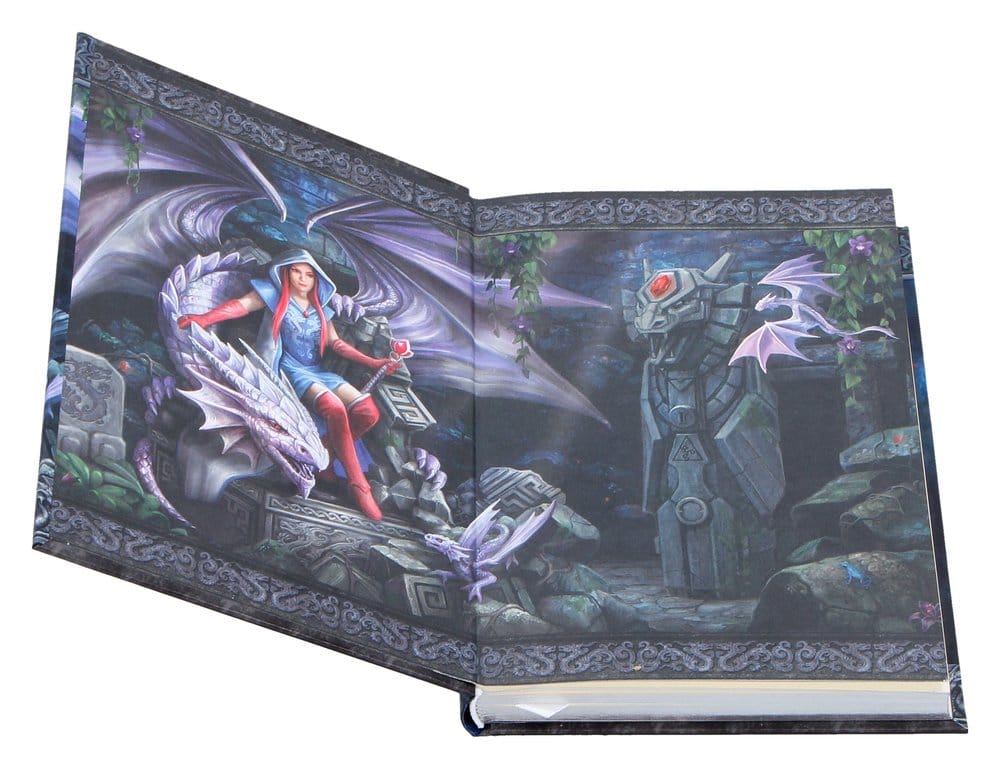 Anne Stokes Notizbuch Dragon Mage A5 18 cm