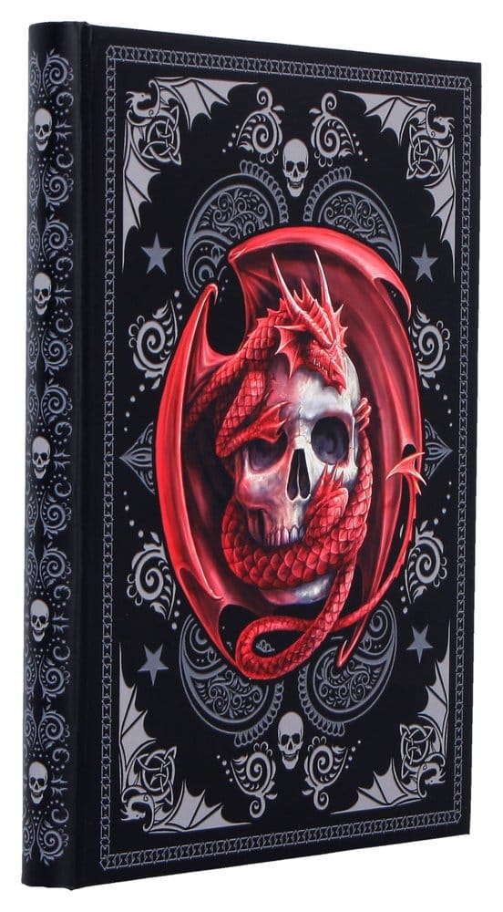 Anne Stokes Notizbuch Skull Embrace A5 18 cm