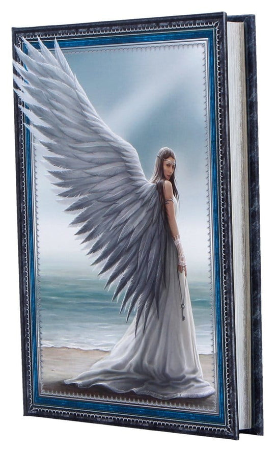 Anne Stokes Notizbuch Spirit Guide A5 18 cm