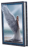 Anne Stokes Notizbuch Spirit Guide A5 18 cm