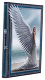Anne Stokes Notizbuch Spirit Guide A5 18 cm