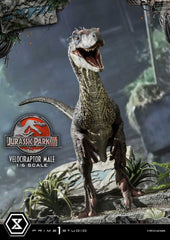 Jurassic Park III Legacy Museum Collection Statue 1/6 Velociraptor Male Bonus Version 40 cm