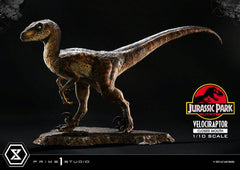 Jurassic Park Prime Collectibles Statue 1/10 Velociraptor Closed Mouth 19 cm