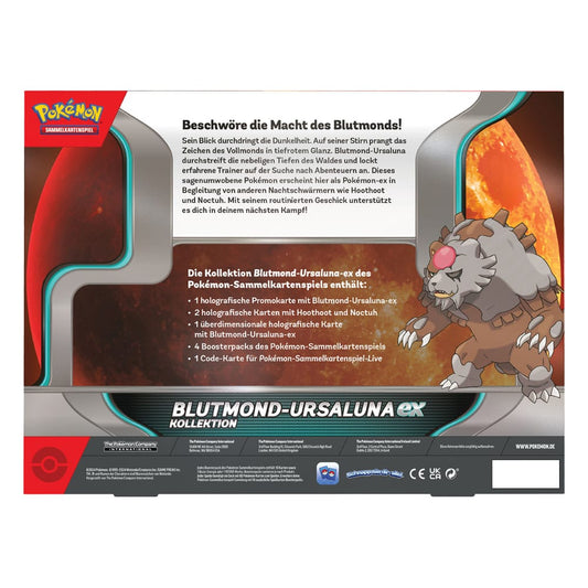 Pokemon TCG EX Box November 2024 *Deutsche Version*