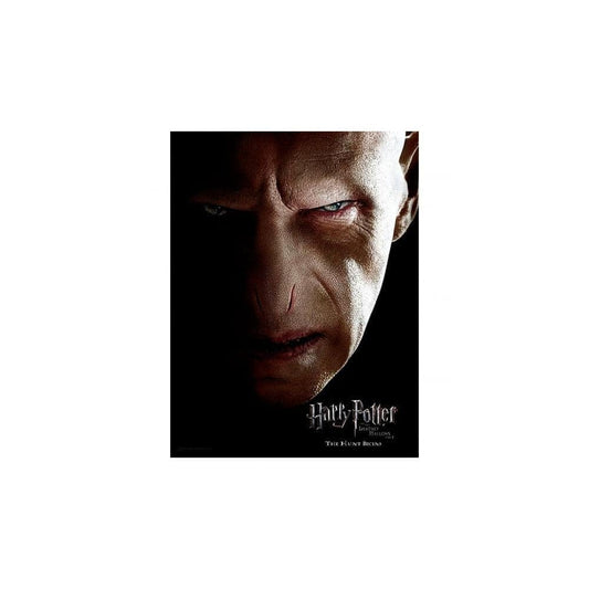Harry Potter Glasposter Voldemort 30 x 40 cm