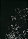 Corpse Bride Softcover Notizbuch Emily 21 cm