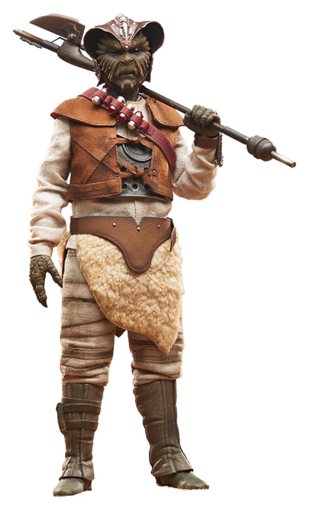 Die Rückkehr der Jedi-Ritter Actionfigur 1/6 Wooof 32 cm