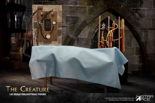 Frankensteins Schrecken My Favourite Movie Actionfigur 1/6 The Creature Deluxe Version 30 cm