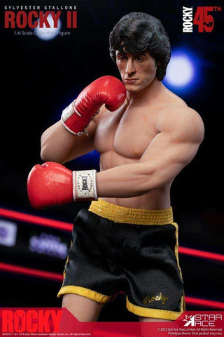 Rocky II Statue 1/6 Rocky Normal Version 30 cm - Smalltinytoystore