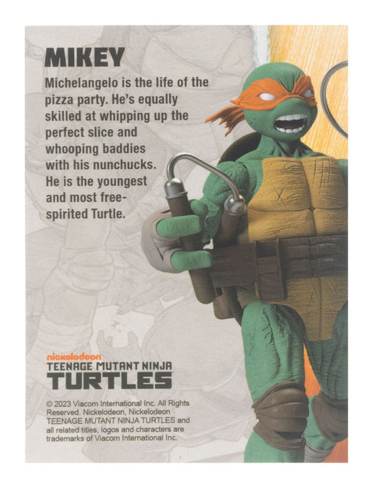 Teenage Mutant Ninja Turtles BST AXN Actionfigur Michelangelo (IDW Comics) 13 cm
