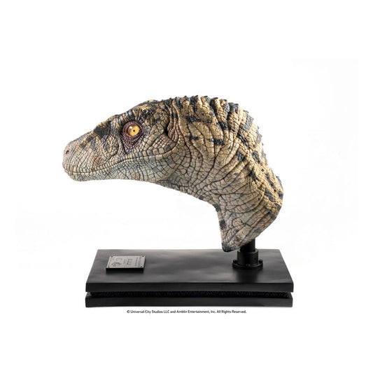 Jurassic Park III Büste Female Velociraptor White Queen 75 cm