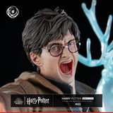 Harry Potter IKIGAI Figur 1/6 30 cm