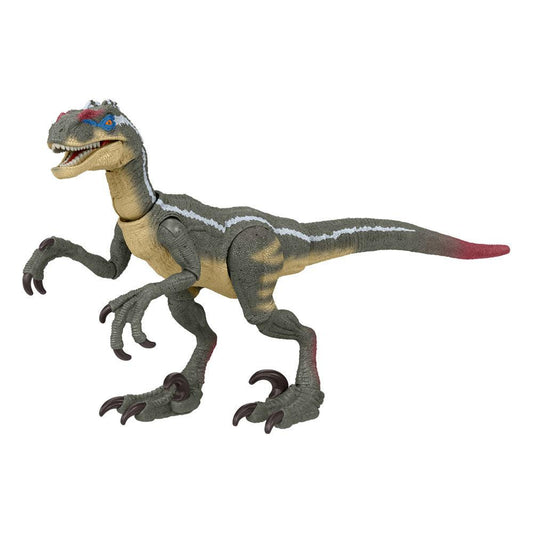 Jurassic World Hammond Collection Actionfigur Velociraptor - Smalltinytoystore