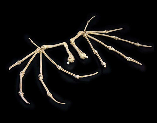 Mythic Legions: All Stars 6 Zubehör-Set für Actionfiguren Bone Wings - Smalltinytoystore